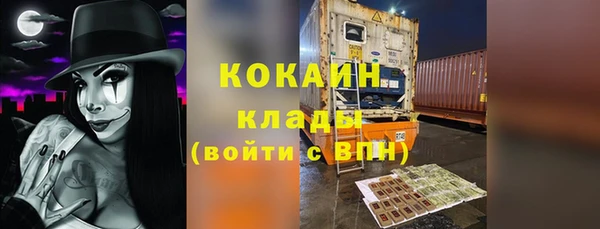 крисы Бронницы