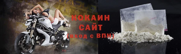 крисы Бронницы