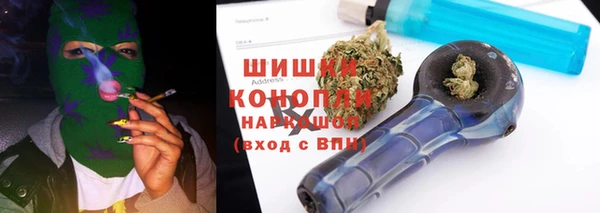 крисы Бронницы