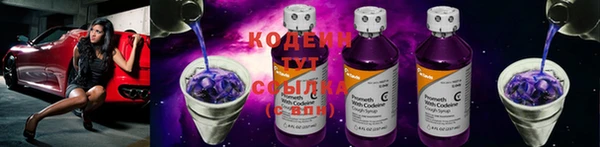крисы Бронницы