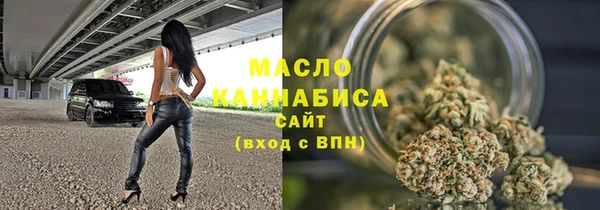 крисы Бронницы