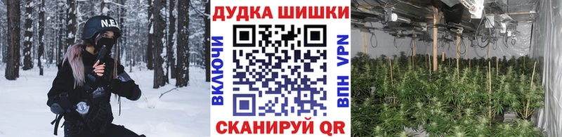 купить  сайты  Нерчинск  МАРИХУАНА ГИДРОПОН 